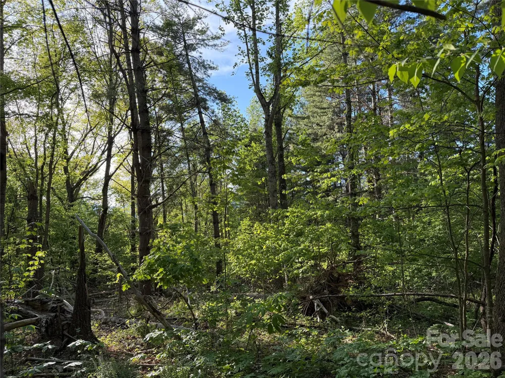 00000 Apple Farm Road Bakersville, NC 28705
