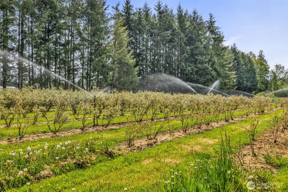 761 State Route 508 Chehalis, WA 98532