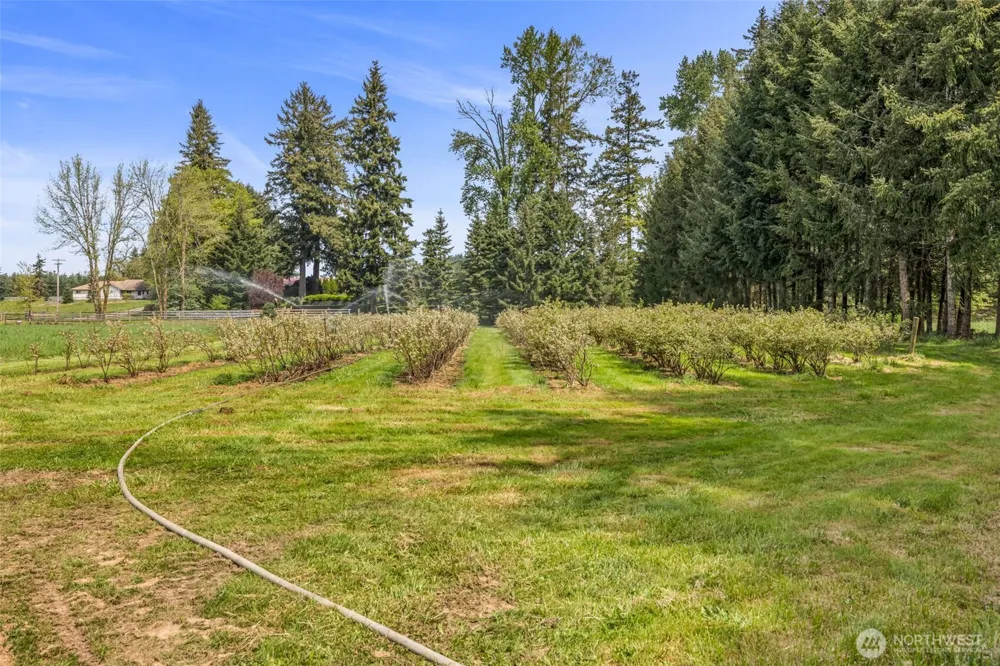 761 State Route 508 Chehalis, WA 98532
