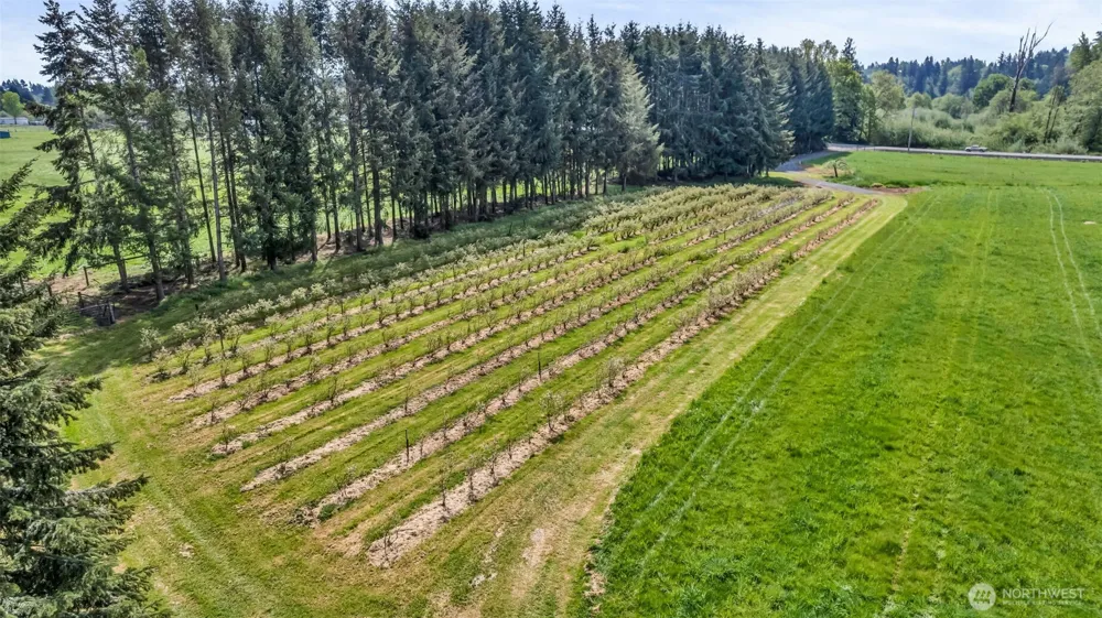 761 State Route 508 Chehalis, WA 98532