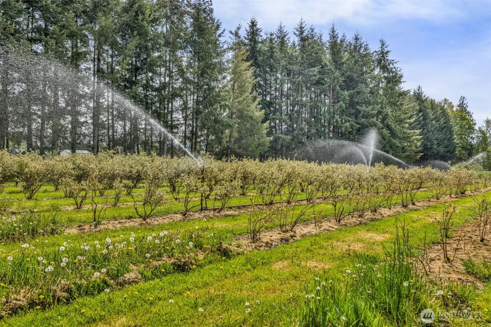 761 State Route 508 Chehalis, WA 98532