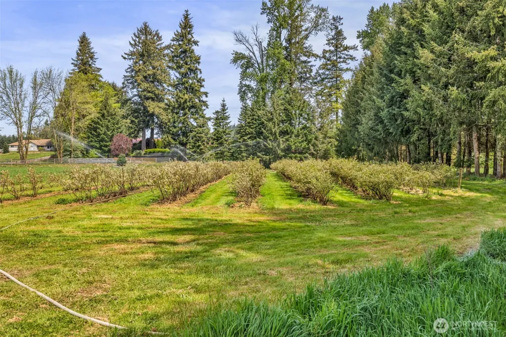 761 State Route 508 Chehalis, WA 98532