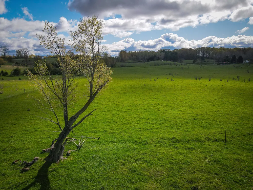 S 230th Avenue Reed City, MI 49677