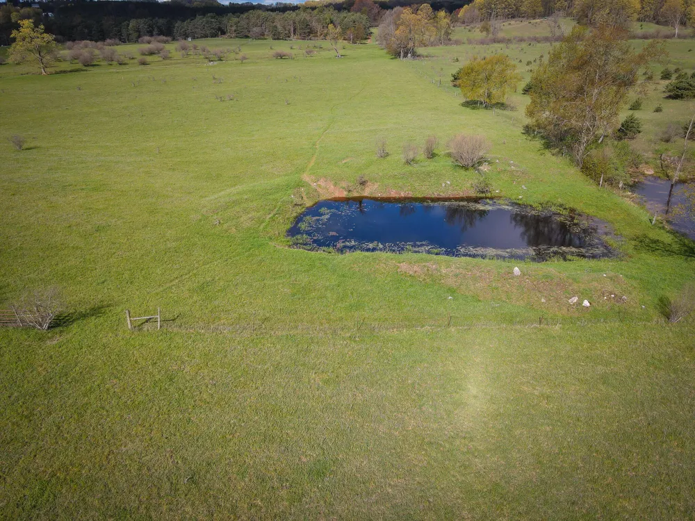 S 230th Avenue Reed City, MI 49677