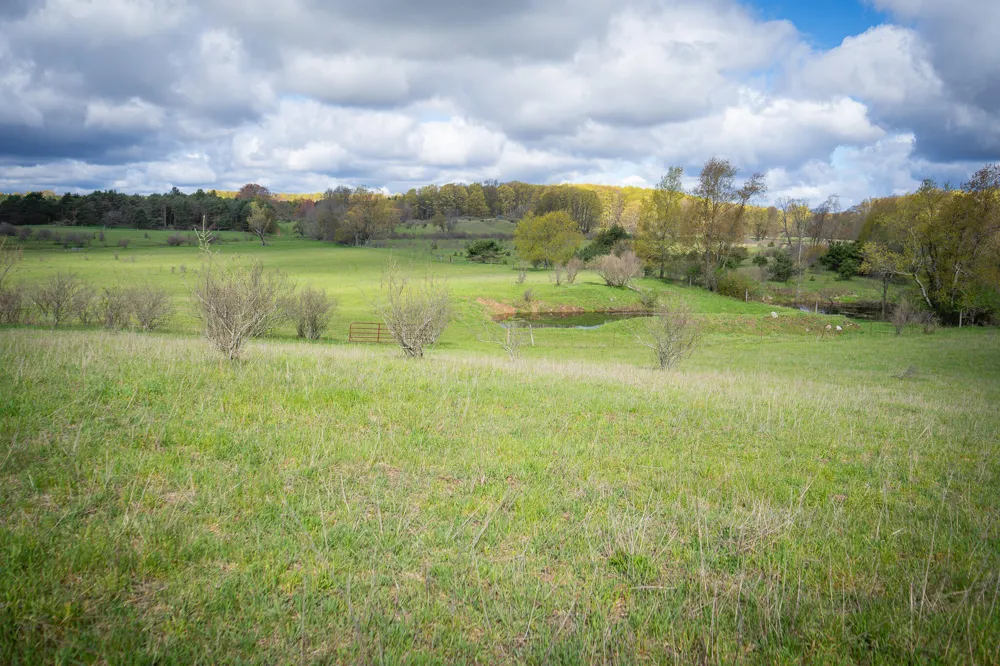 S 230th Avenue Reed City, MI 49677