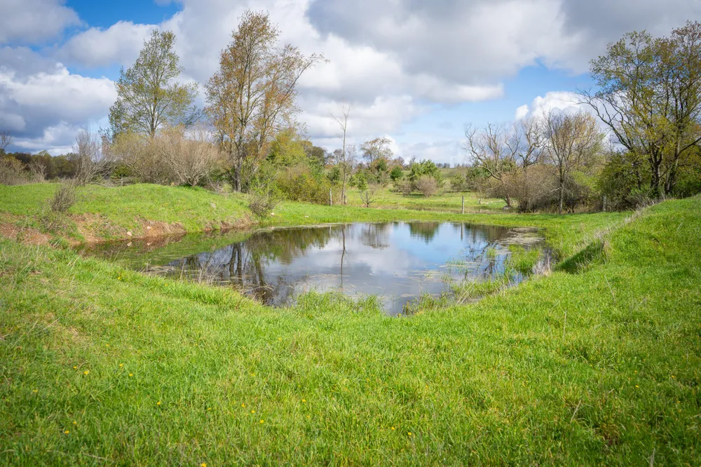 S 230th Avenue Reed City, MI 49677