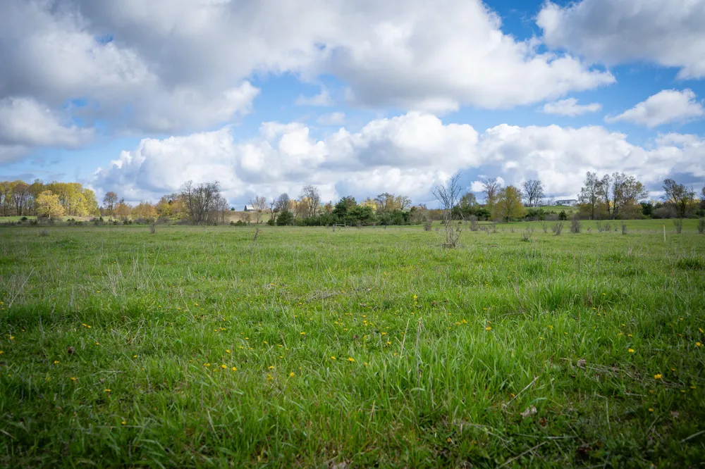 S 230th Avenue Reed City, MI 49677