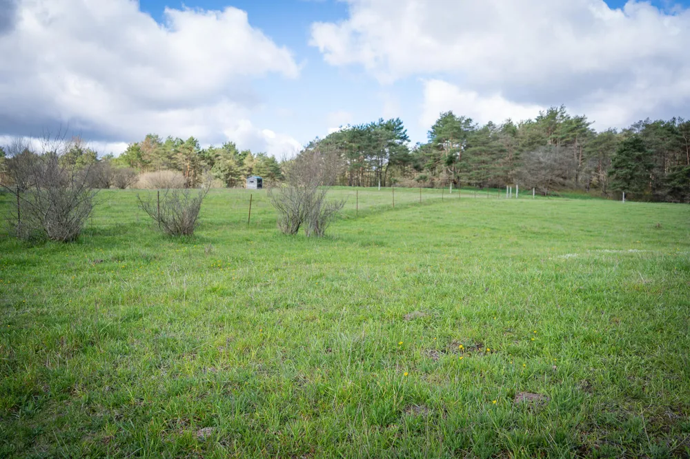 S 230th Avenue Reed City, MI 49677