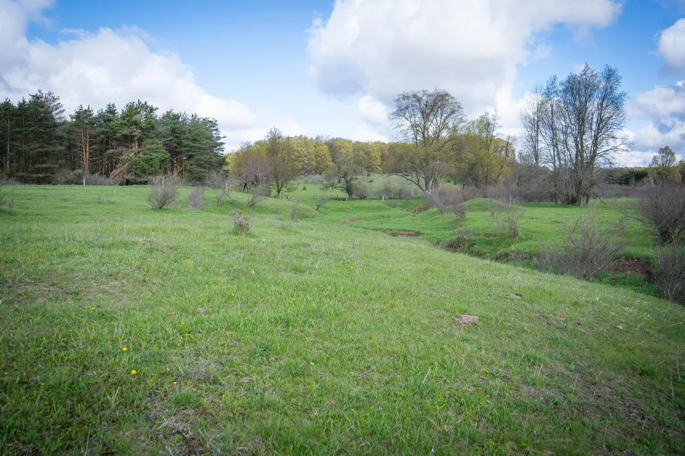 S 230th Avenue Reed City, MI 49677