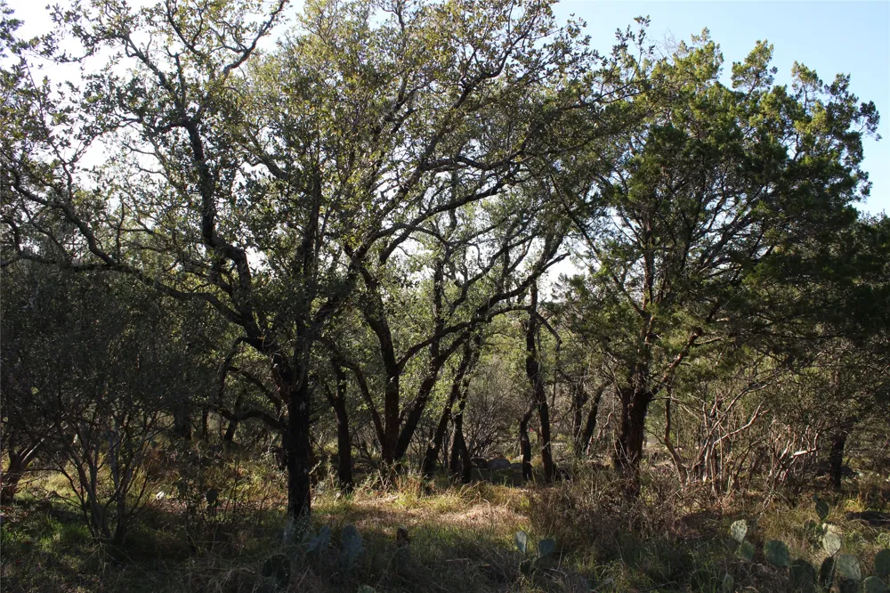 505 Saddle Horn Horseshoe Bay, TX 78657