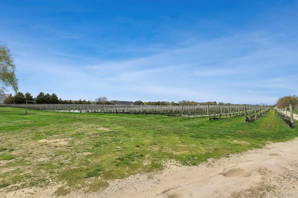37025 Main Road Cutchogue, NY 11935