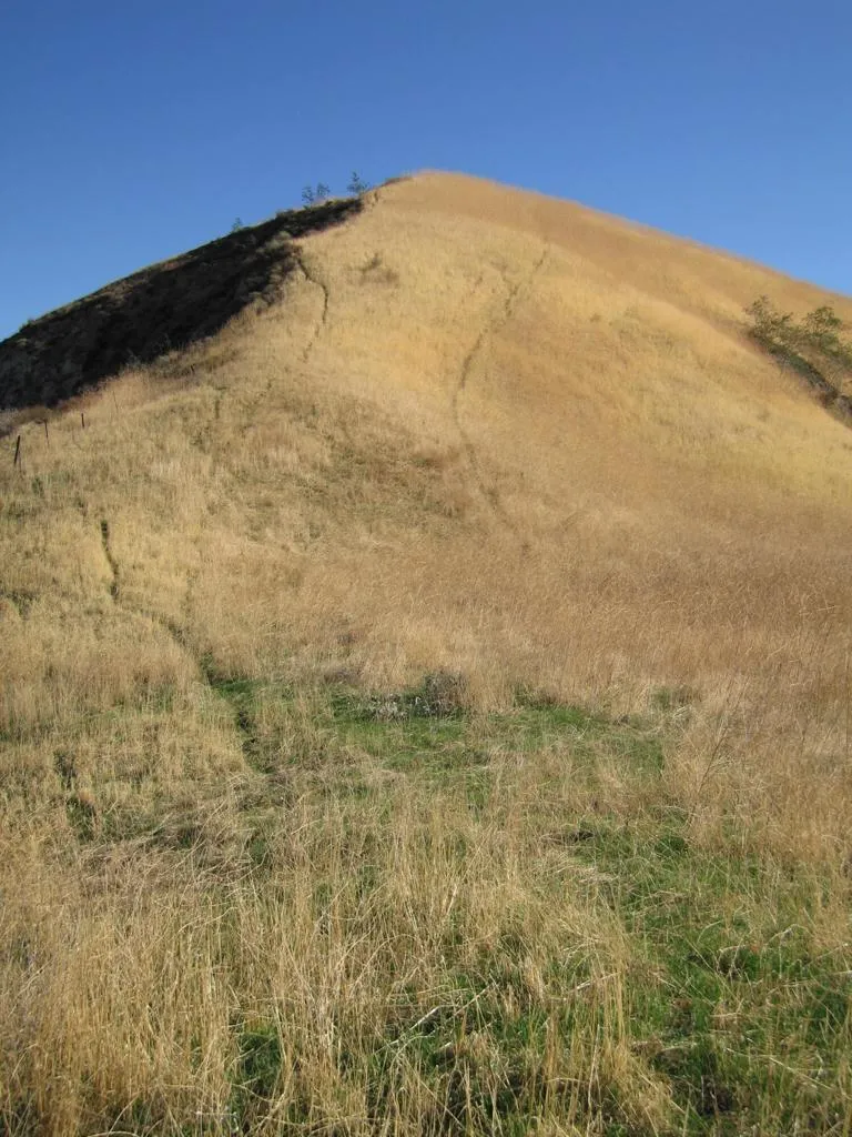 7003 Loma Verde Mountainway Castaic, CA 91384