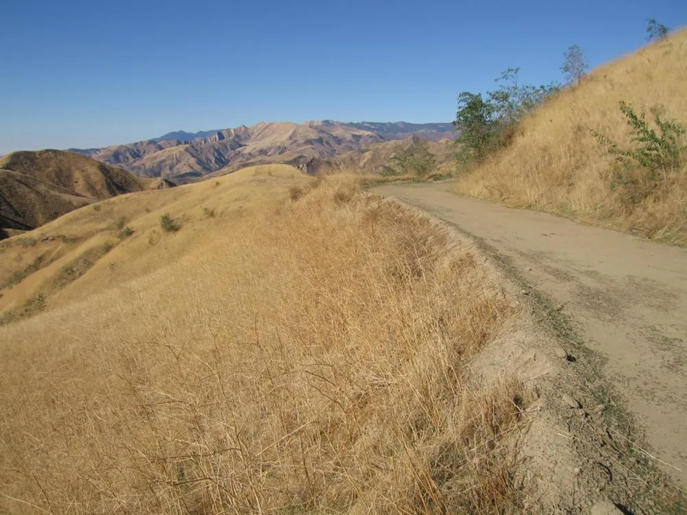 7003 Loma Verde Mountainway Castaic, CA 91384