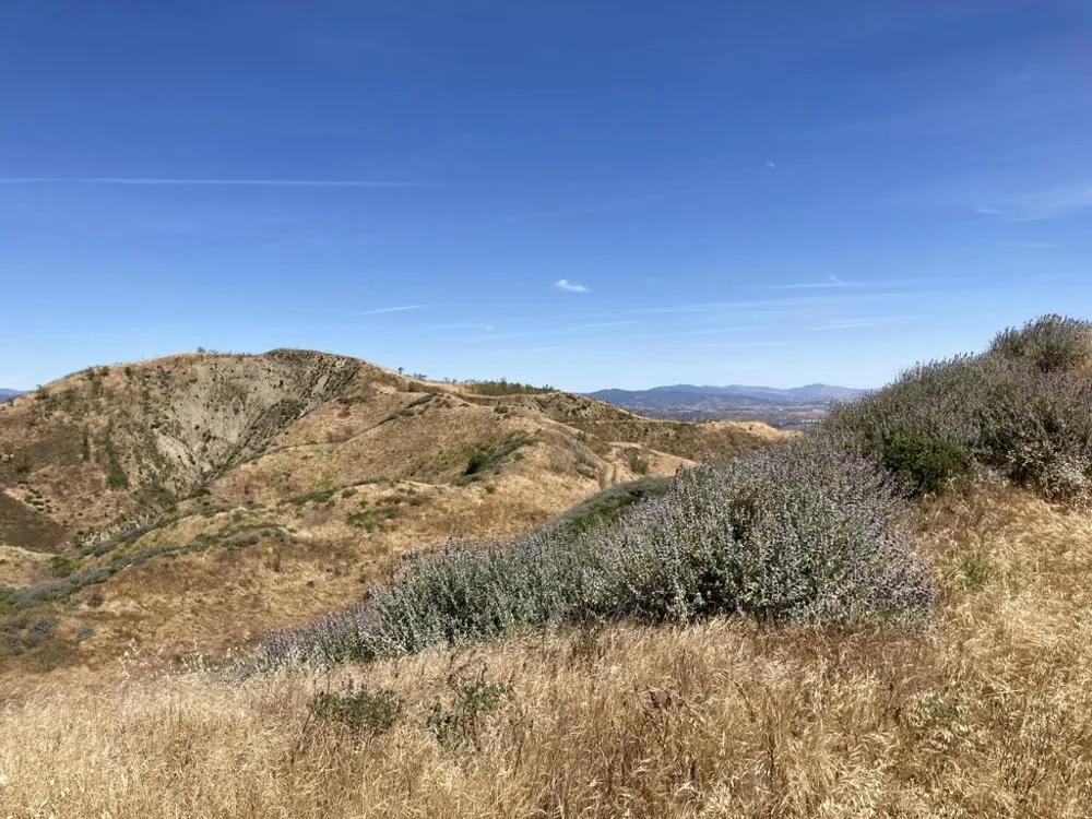 7003 Loma Verde Mountainway Castaic, CA 91384