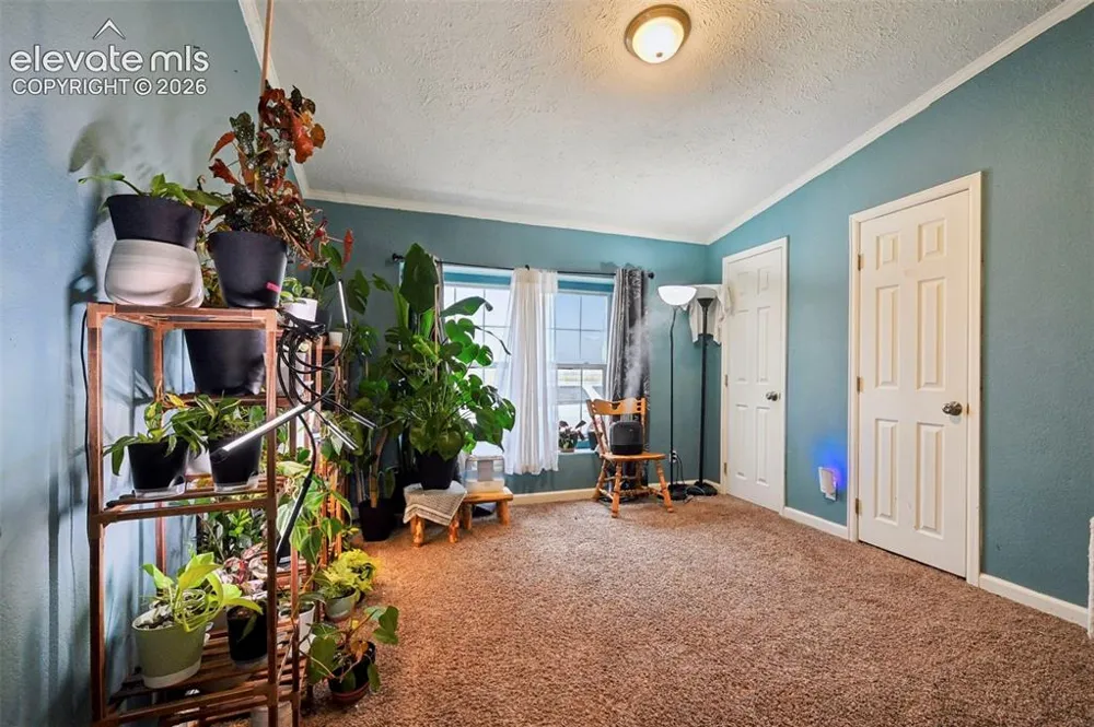 1498 Spotted Owl Way Calhan, CO 80808
