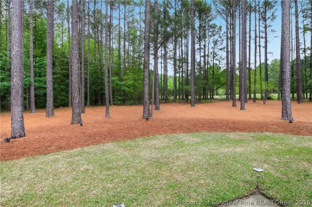 11 Rolling Pines Drive Spring Lake, NC 28390