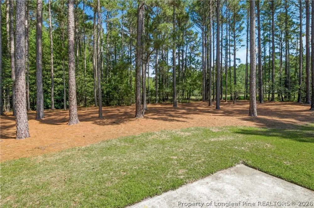 11 Rolling Pines Drive Spring Lake, NC 28390