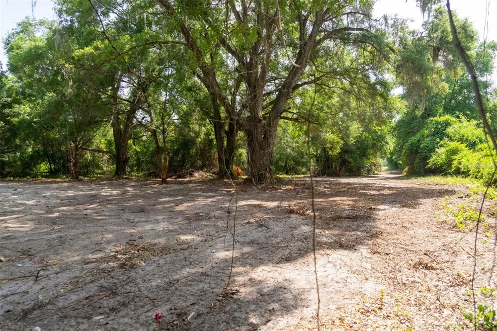 3482 COUNTY ROAD 507 Wildwood, FL 34785