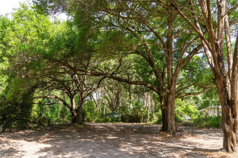 3482 COUNTY ROAD 507 Wildwood, FL 34785