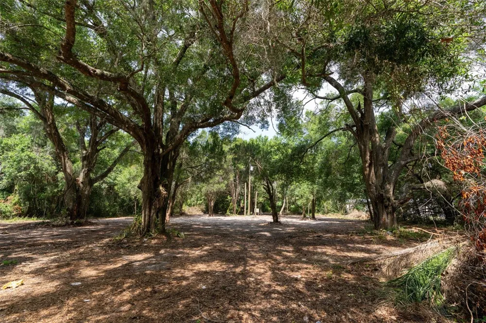 3482 COUNTY ROAD 507 Wildwood, FL 34785