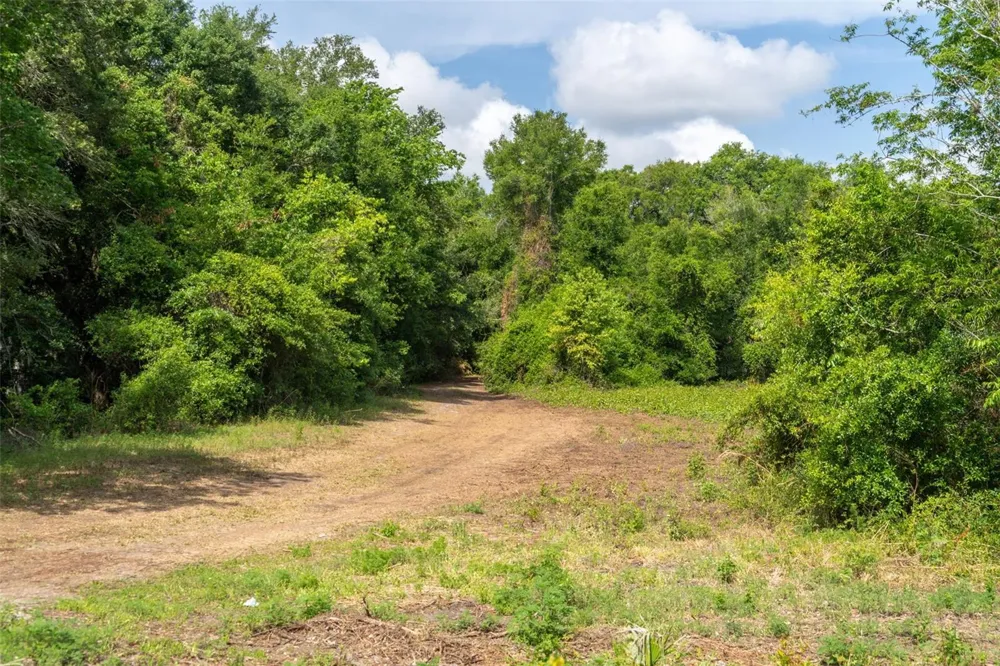 3482 COUNTY ROAD 507 Wildwood, FL 34785