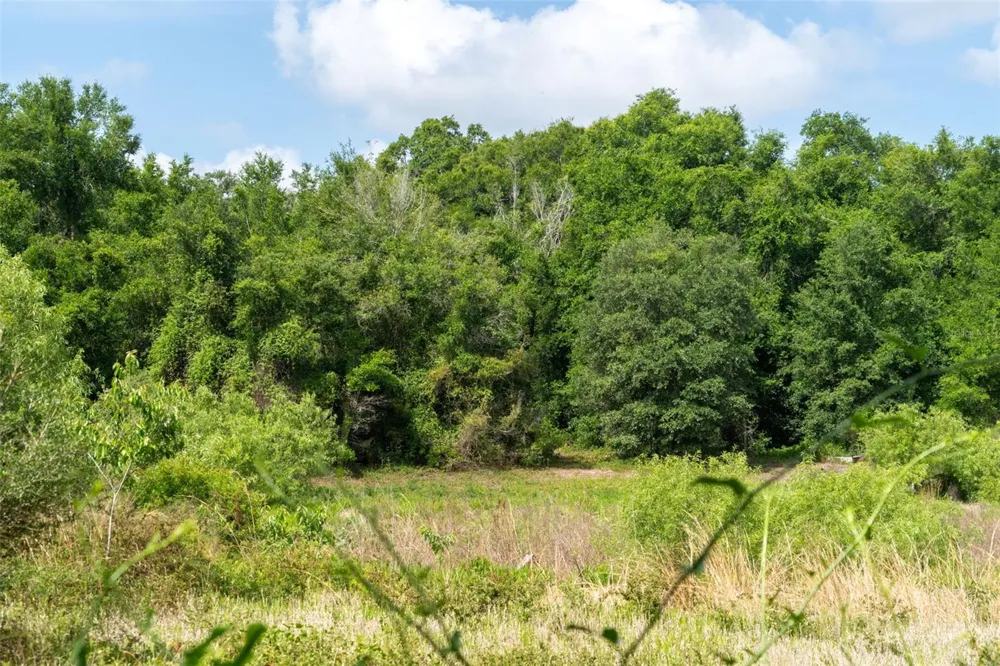 3482 COUNTY ROAD 507 Wildwood, FL 34785