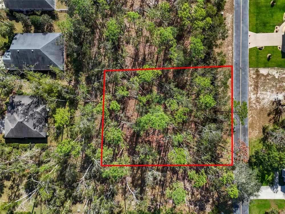 TBD WILDWOOD DRIVE Live Oak, FL 32060