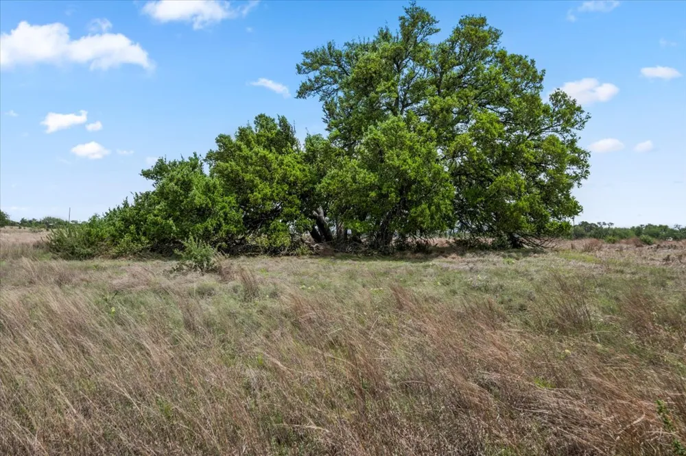 6594 W Hwy 290 Dripping Springs, TX 78620