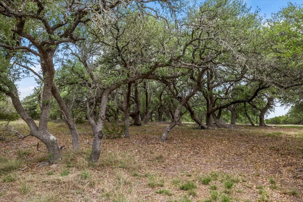 6594 W Hwy 290 Dripping Springs, TX 78620