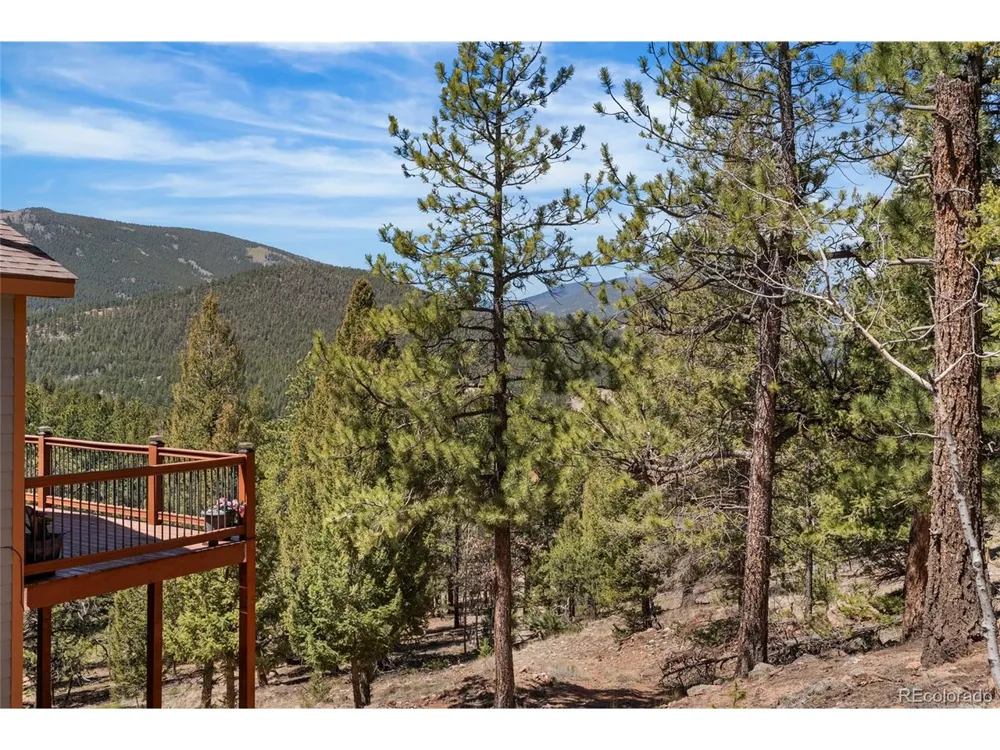 461 Hitchrack Road Bailey, CO 80421