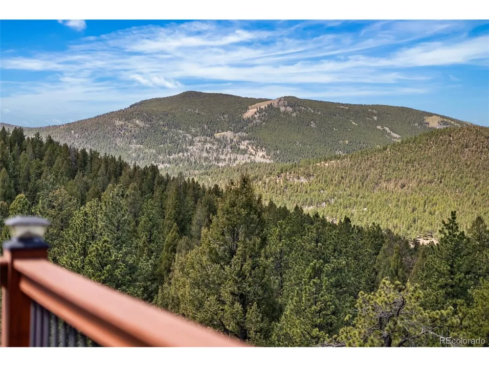 461 Hitchrack Road Bailey, CO 80421