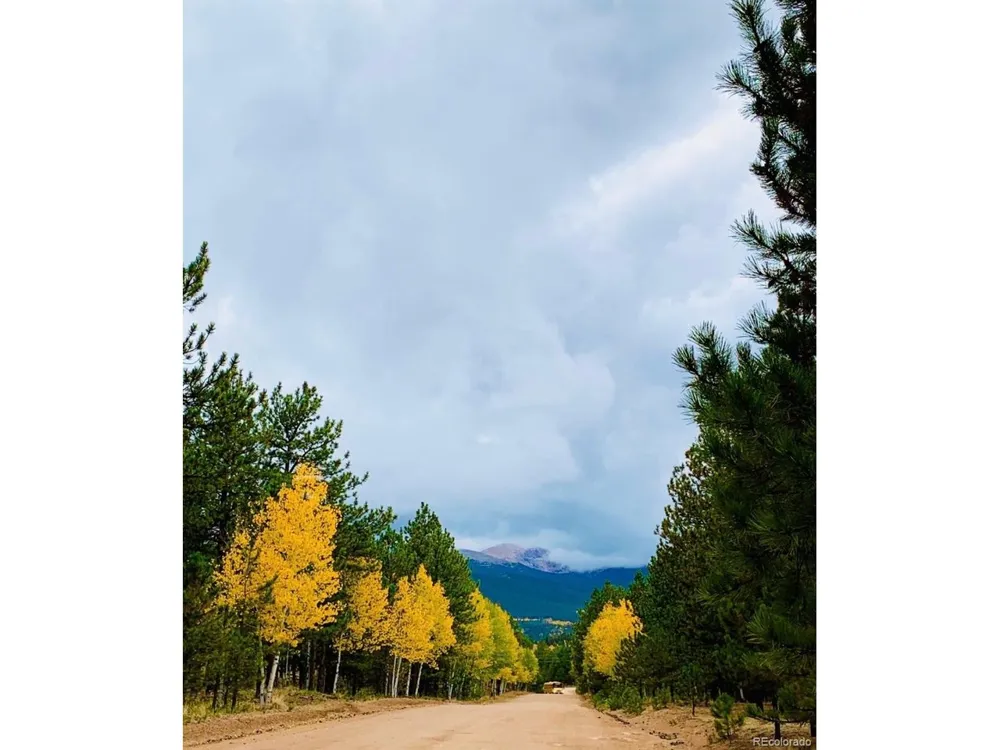 461 Hitchrack Road Bailey, CO 80421