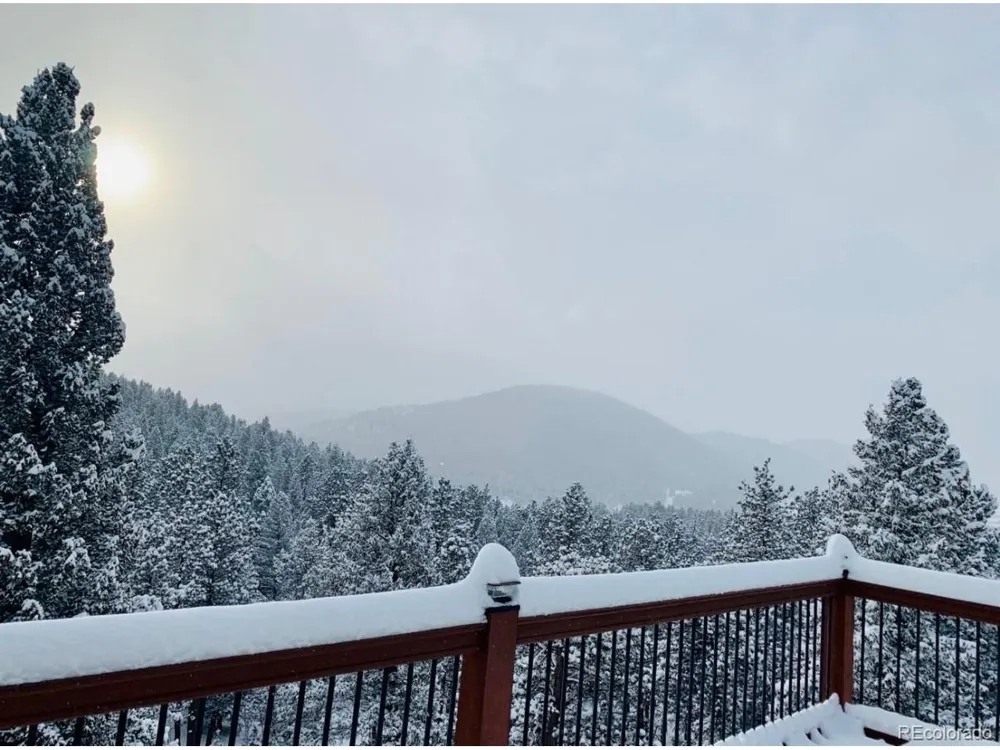 461 Hitchrack Road Bailey, CO 80421