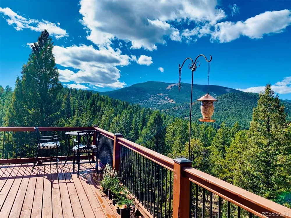 461 Hitchrack Road Bailey, CO 80421