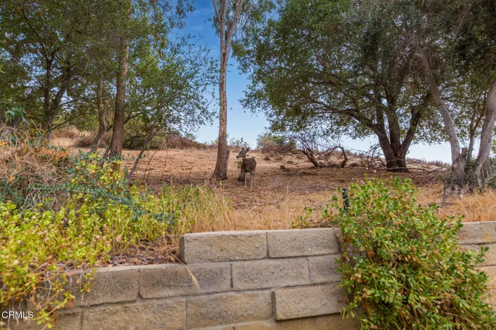 3740 Summershore Lane Westlake Village, CA 91361