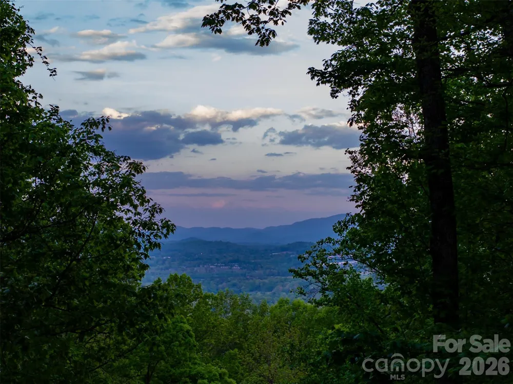 14 Walnut Drive Mills River, NC 28759