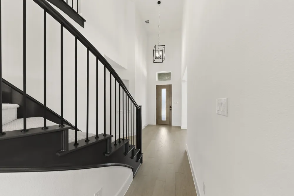513 Bristle Pine Avenue Little Elm, TX 75068