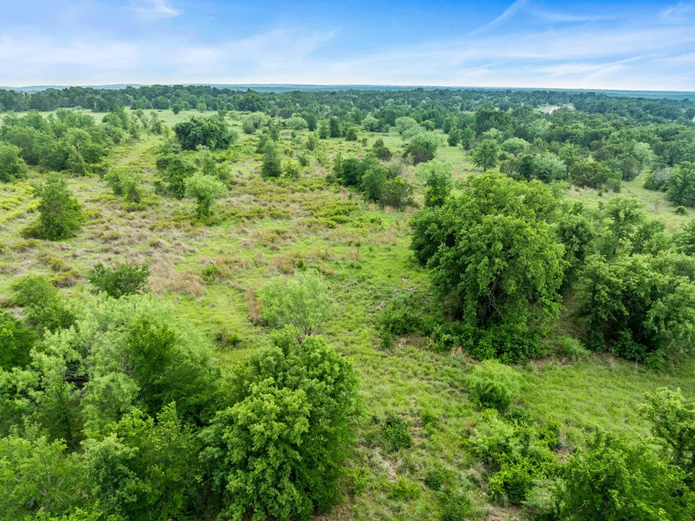 New Hope Road Road Santo, TX 76484