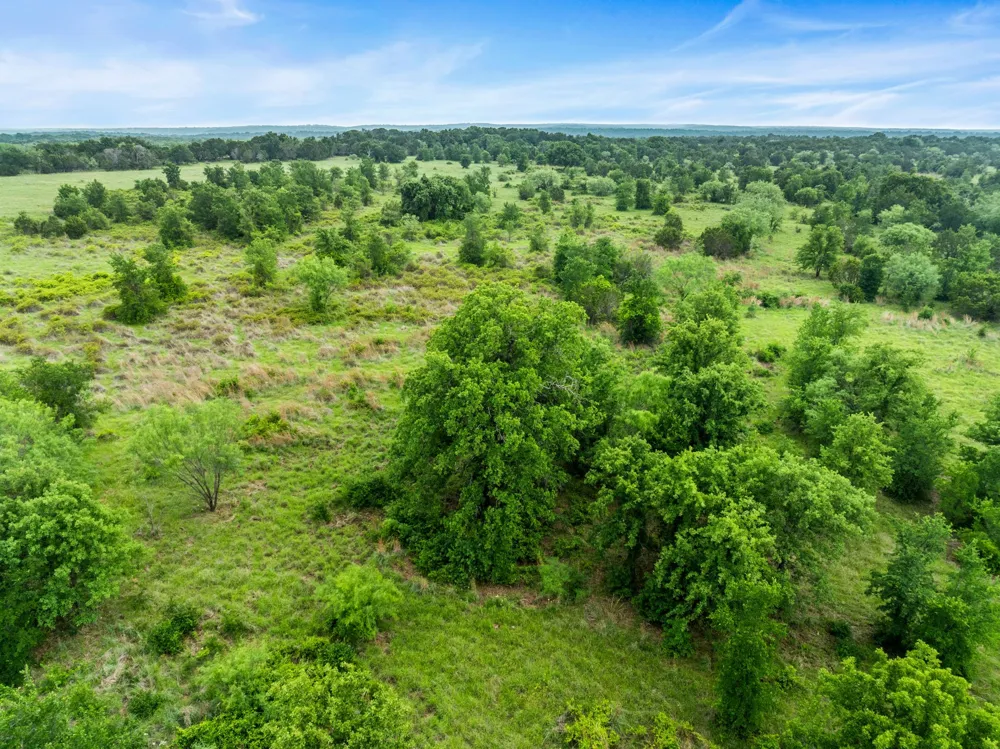 New Hope Road Road Santo, TX 76484