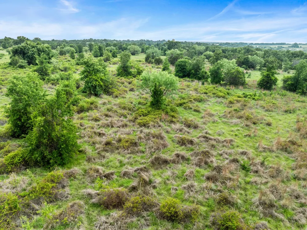 New Hope Road Road Santo, TX 76484