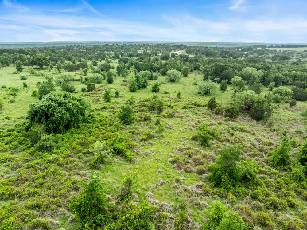 New Hope Road Road Santo, TX 76484