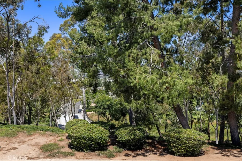 22342 Caminito Escobedo Laguna Hills, CA 92653