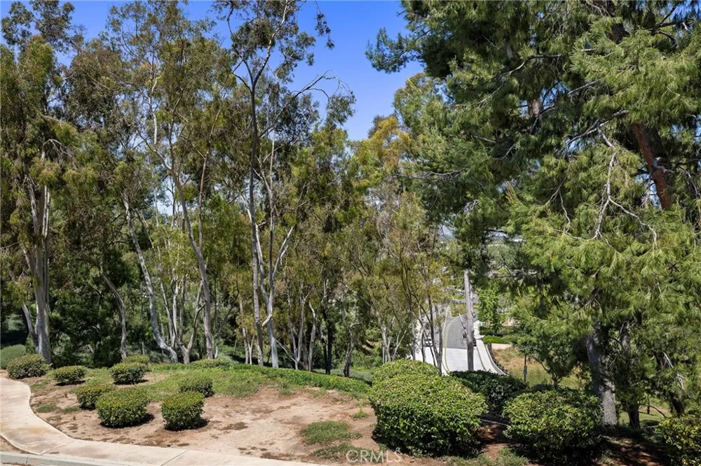 22342 Caminito Escobedo Laguna Hills, CA 92653