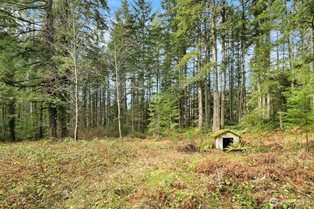 0 Sands Avenue NE Bainbridge Island, WA 98110