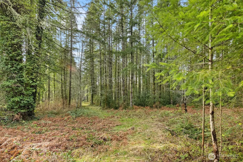 0 Sands Avenue NE Bainbridge Island, WA 98110