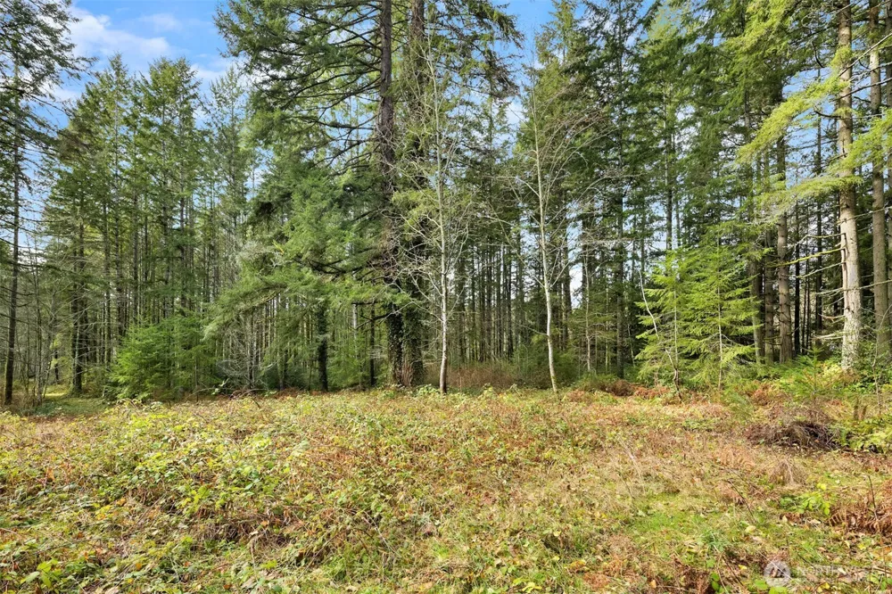 0 Sands Avenue NE Bainbridge Island, WA 98110