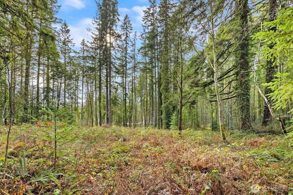 0 Sands Avenue NE Bainbridge Island, WA 98110