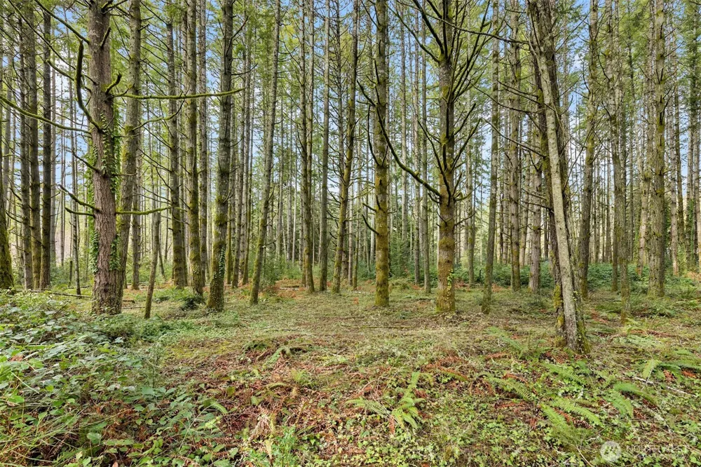 0 Sands Avenue NE Bainbridge Island, WA 98110