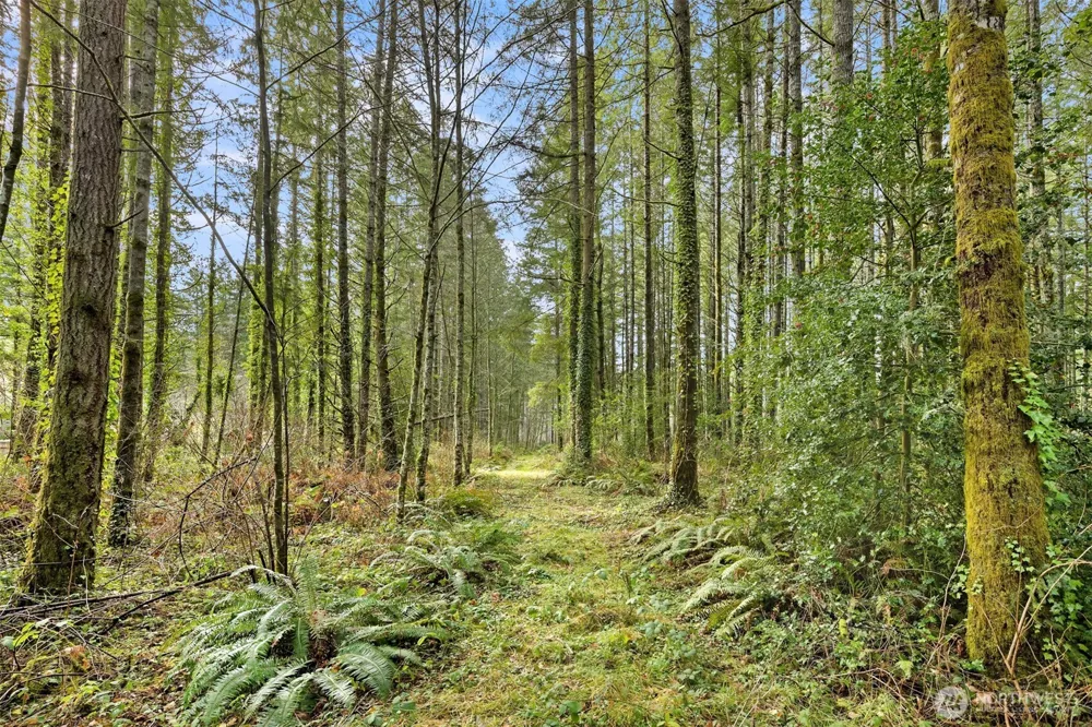 0 Sands Avenue NE Bainbridge Island, WA 98110