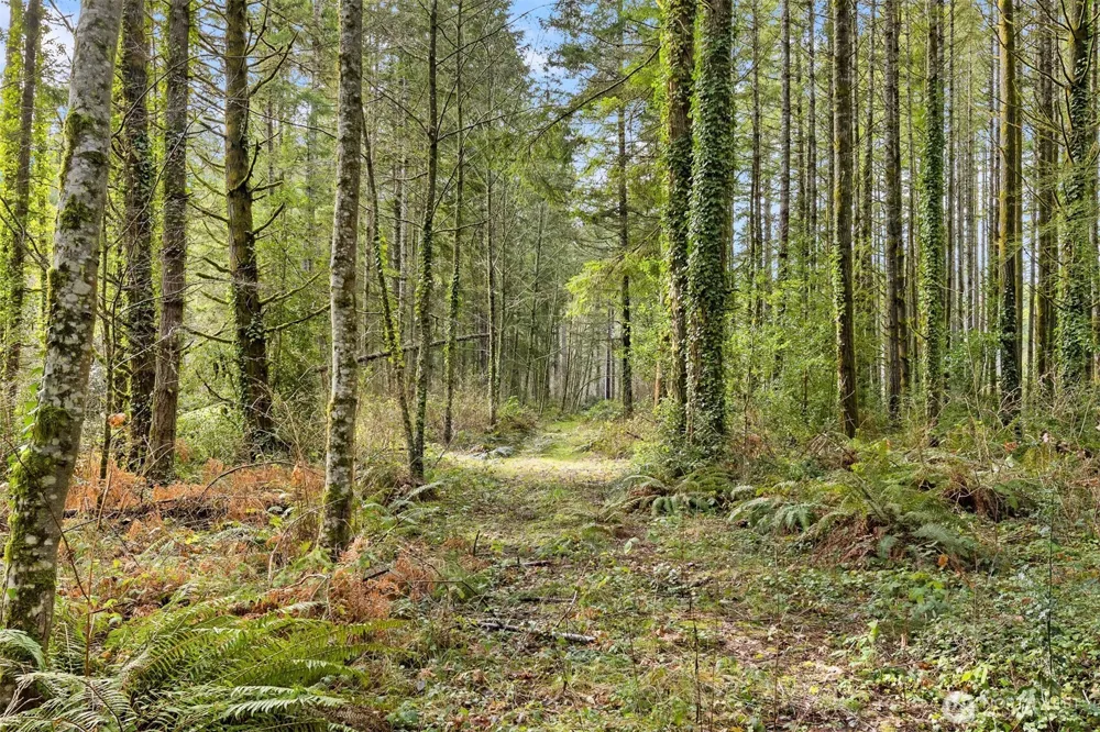 0 Sands Avenue NE Bainbridge Island, WA 98110